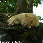 Cynthia Wisoky Profile Picture