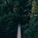 Clint Morissette Profile Picture