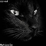 Demetris Ritchie Profile Picture