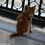 Eliezer Klocko Profile Picture