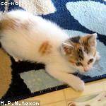 Velda Stamm Profile Picture