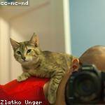 Lempi Kuhn Profile Picture