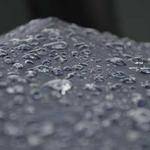 Whitney Lowe Profile Picture