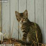 Mireille Zboncak Profile Picture