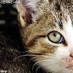 Ewald Mertz Profile Picture