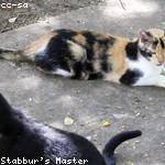 Magnolia Balistreri Profile Picture