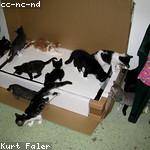 Garth Jerde Profile Picture