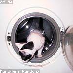 Darrel Lebsack Profile Picture