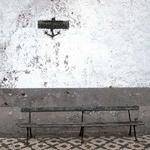 Stephany Lehner Profile Picture