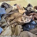 Arch Schneider Profile Picture