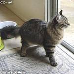 Amparo Heidenreich Profile Picture