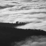 Don Green Profile Picture