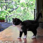 Talia Bernhard Profile Picture