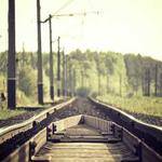 Travis Schamberger Profile Picture