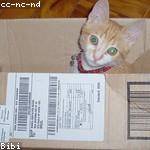 Lisandro Reynolds Profile Picture