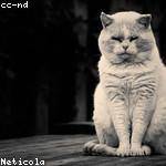 Angelita Kuhic Profile Picture