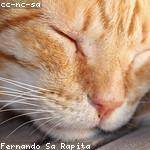 Ardella Abernathy Profile Picture