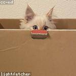 Maddison Yost Profile Picture