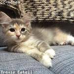 Katelyn Bednar Profile Picture