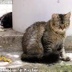 Eleonore Aufderhar Profile Picture