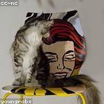 Humberto Glover Profile Picture