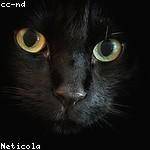 Conrad Mueller Profile Picture