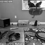 Una Waters Profile Picture