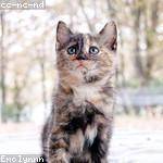 Ocie Turner Profile Picture