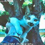 Karli Gutkowski Profile Picture