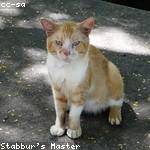 Orpha Upton Profile Picture