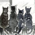 Dorothea Satterfield Profile Picture