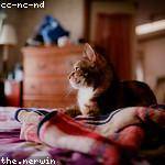 Hermina Reichel Profile Picture