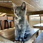 Isobel Heathcote Profile Picture