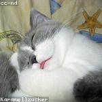 Margarete Abbott Profile Picture