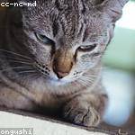 Albina Stiedemann Profile Picture