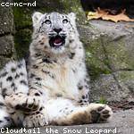 Bruce Ortiz Profile Picture