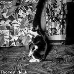 Theresa Lockman Profile Picture