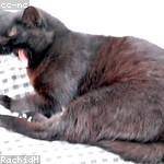 Kaylie Baumbach Profile Picture