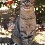 Georgianna Hegmann Profile Picture