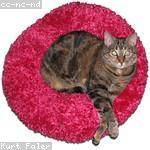 Simone Bernhard Profile Picture