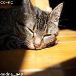 Scotty Bergnaum Profile Picture