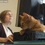 Shyanne Considine Profile Picture