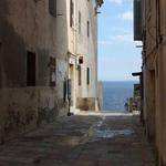 Kaci Muller Profile Picture