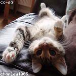 Jadyn Upton Profile Picture