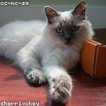 Eleanore Grimes Profile Picture