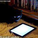 Zane Bauch Profile Picture