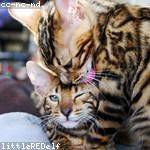 Kadin Marvin Profile Picture