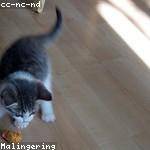 Otis Mills Profile Picture