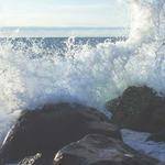 Malvina Gerhold Profile Picture