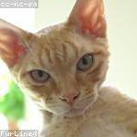 Annette Schroeder Profile Picture